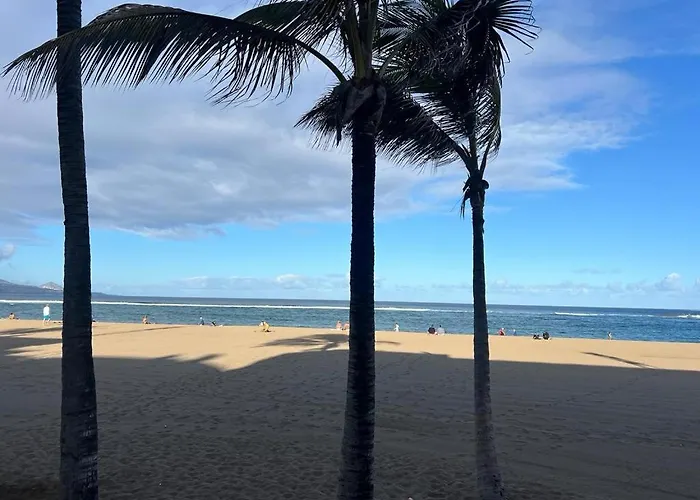 公寓 Canteras Con Alma 大加那利岛拉斯帕尔马斯